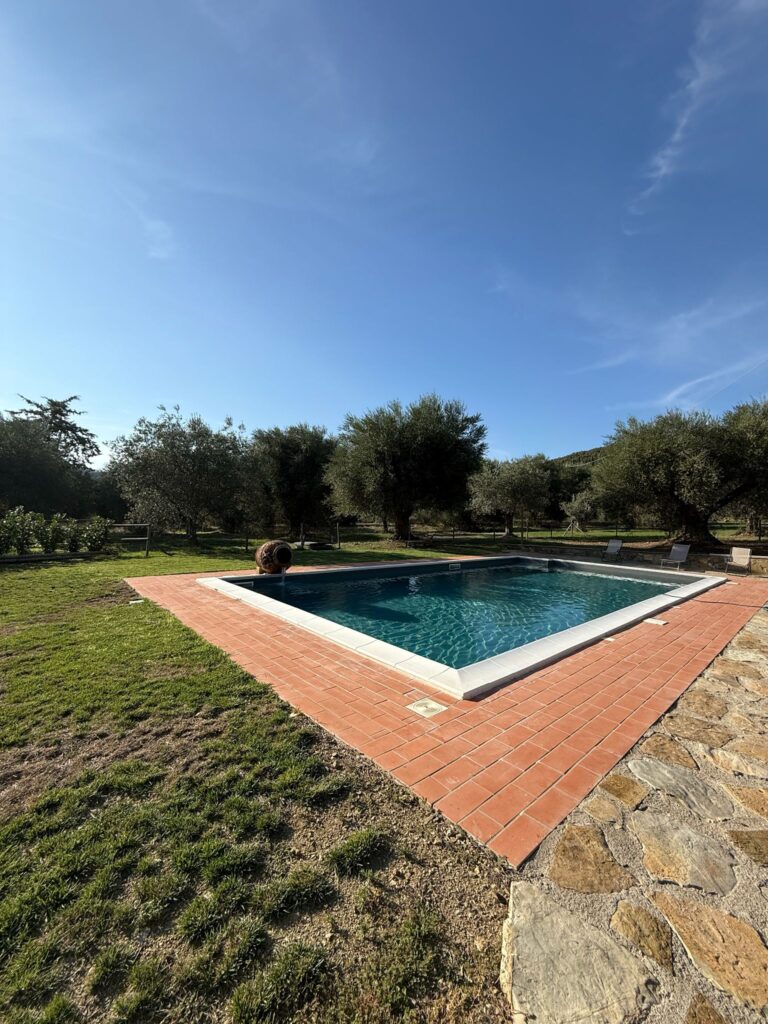 whatsapp image 2026 02 16 at 10.59.36 (2)