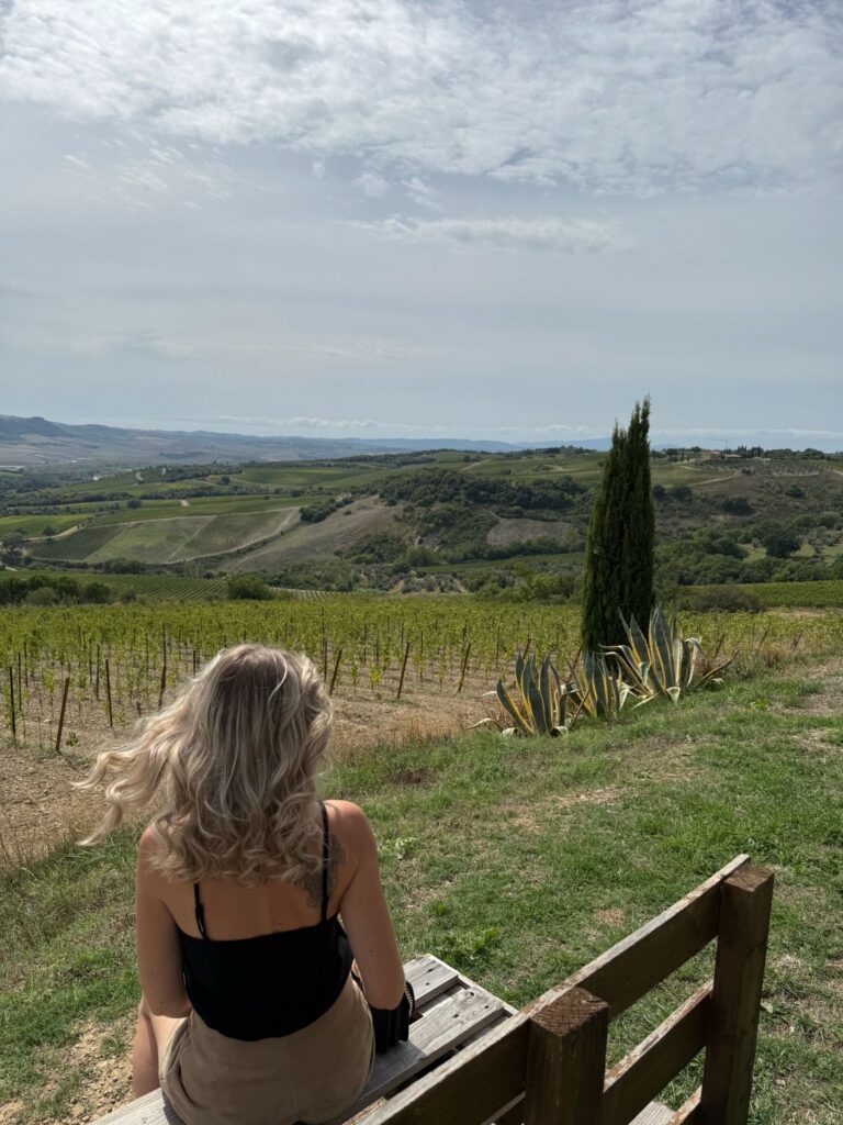 whatsapp image 2026 02 16 at 10.59.41 (2)